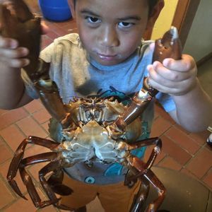 Meet your Posher, Valmenio ijay